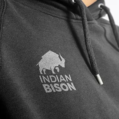 IndianBison